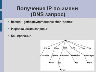 Получение IP по имени
           (DNS запрос)
●   hostent *gethostbyname(const char *name);

●   Иерархические запросы;

●   Кеширование.
 