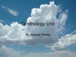 Ornithology Unit By Alyssa Perez 