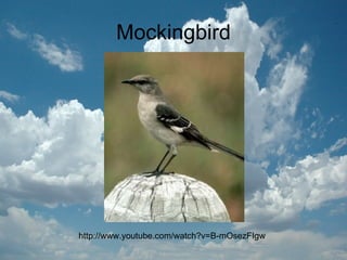 Mockingbird http://www.youtube.com/watch?v=B-mOsezFIgw