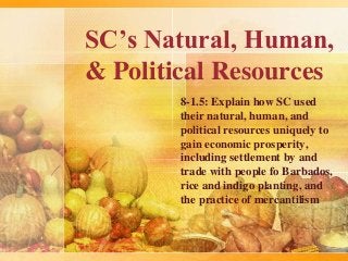 SC’s Natural, Human,
& Political Resources
8-1.5: Explain how SC used
their natural, human, and
political resources uniquely to
gain economic prosperity,
including settlement by and
trade with people fo Barbados,
rice and indigo planting, and
the practice of mercantilism
 