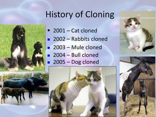 History of Cloning
 2001 – Cat cloned
 2002 – Rabbits cloned
 2003 – Mule cloned
 2004 – Bull cloned
 2005 – Dog cloned
 