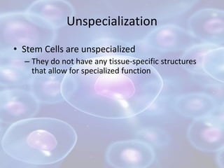 Unspecialization
• Stem Cells are unspecialized
– They do not have any tissue-specific structures
that allow for specialized function
 