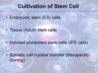 Cultivation of Stem Cell
• Embryonic stem (ES) cells
• Tissue (Adult) stem cells
• Induced pluripotent stem cells (iPS cells)
• Somatic cell nuclear transfer (therapeutic
cloning)
 