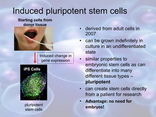 Induced pluripotent stem cells
• derived from adult cells in
2007
• can be grown indefinitely in
culture in an undifferentiated
state
• similar properties to
embryonic stem cells as can
differentiate into many
different tissue types –
pluripotent
• can create stem cells directly
from a patient for research
• Advantage: no need for
embryos!
Induced change in
gene expression
pluripotent
stem cells
Starting cells from
donor tissue
iPS Cells
 