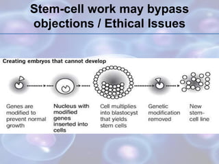 Stem-cell work may bypass
objections / Ethical Issues
 