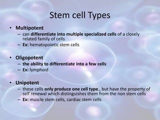 Stem cell Types
• Multipotent
– can differentiate into multiple specialized cells of a closely
related family of cells
– E...