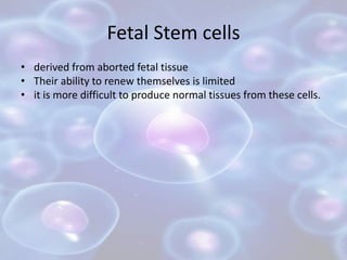 Fetal Stem cells
• derived from aborted fetal tissue
• Their ability to renew themselves is limited
• it is more difficult...