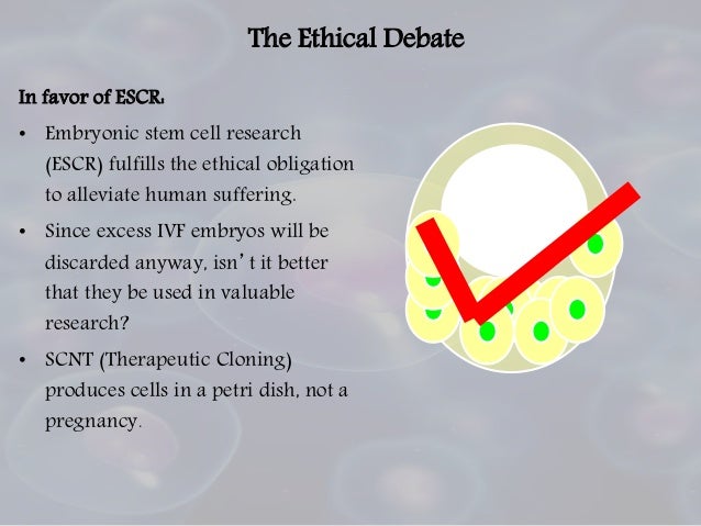 embryonic stem cell research essays Excellent embryos stem cell treatment is a controversial topic of discussion among scientists and researchers today by studying these cells, researchers. embryonic stem cell research essays Excellent embryos stem cell treatment is a controversial topic of discussion among scientists and researchers today by studying these cells, researchers.