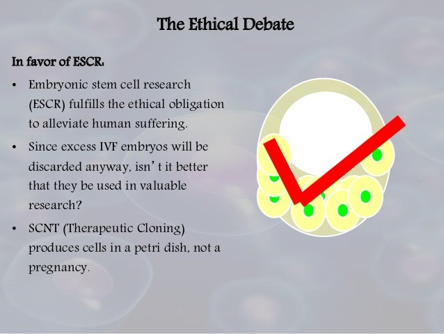 The Debate Of Embryonic Stem Cells