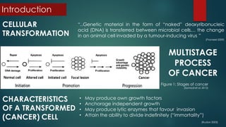 Introduction
CELLULAR
TRANSFORMATION
“..Genetic material in the form of “naked” deoxyribonucleic
acid (DNA) is transferred between microbial cells… the change
in an animal cell invaded by a tumour-inducing virus ”
(Promeet 2009)
MULTISTAGE
PROCESS
OF CANCER
Figure 1: Stages of cancer
(Samadi et al. 2012)
CHARACTERISTICS
OF A TRANSFORMED
(CANCER) CELL
• May produce own growth factors
• Anchorage independent growth
• May produce lytic enzymes that favour invasion
• Attain the ability to divide indefinitely (“immortality”)
(Rudon 2003)
 
