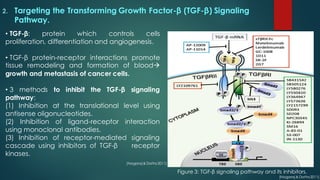 2. Targeting the Transforming Growth Factor-β (TGF-β) Signaling
Pathway.
• TGF-β: protein which controls cells
proliferation, differentiation and angiogenesis.
• TGF-β protein-receptor interactions promote
tissue remodeling and formation of bloodà
growth and metastasis of cancer cells.
• 3 methods to inhibit the TGF-β signaling
pathway:
(1) Inhibition at the translational level using
antisense oligonucleotides.
(2) Inhibition of ligand-receptor interaction
using monoclonal antibodies.
(3) Inhibition of receptor-mediated signaling
cascade using inhibitors of TGF-β receptor
kinases.
Figure 3: TGF-β signaling pathway and its inhibitors.
(Nagaraj & Datta2011)
(Nagaraj & Datta2011)
 