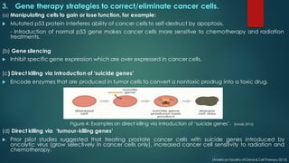 3. Gene therapy strategies to correct/eliminate cancer cells.
(a) Manipulating cells to gain or lose function, for example:
u Mutated p53 protein interferes ability of cancer cells to self-destruct by apoptosis.
- Introduction of normal p53 gene makes cancer cells more sensitive to chemotherapy and radiation
treatments.
(b) Gene silencing
u Inhibit specific gene expression which are over expressed in cancer cells.
(c) Direct killing via Introduction of ‘suicide genes’
u Encode enzymes that are produced in tumor cells to convert a nontoxic prodrug into a toxic drug.
(d) Direct killing via ‘tumour-killing genes’
u Prior pilot studies suggested that treating prostate cancer cells with suicide genes introduced by
oncolytic virus (grow selectively in cancer cells only), increased cancer cell sensitivity to radiation and
chemotherapy.
(American Society ofGene & Cell Therapy 2015)
Figure 4: Examples on direct killing via Introduction of ‘suicide genes’. (laraib 2015)
 