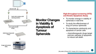 Monitor Changes
in Viability &
Apoptosis of
Tumour
Spheroids
High-throughput screening (HTS)
and Kinetic Apoptosis Assay
 To monitor change in viability of
spheroids in real-time
 To study the effectiveness of
drug on tumour spheroids
 To characterize cytotoxicity and
apoptosis of cancer cells
– chemotherapeutic drugs target
extrinsic pathway of apoptosis
to induce cell death
8
(Brunelle & Zhang 2010, Hesley 2016, Kessel et al. 2018)
 