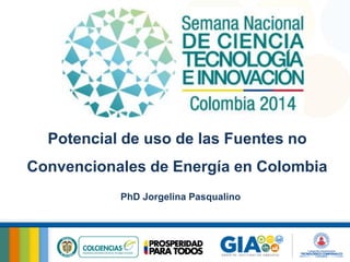 PhD Jorgelina Pasqualino 
Potencial de uso de las Fuentes no Convencionales de Energía en Colombia  