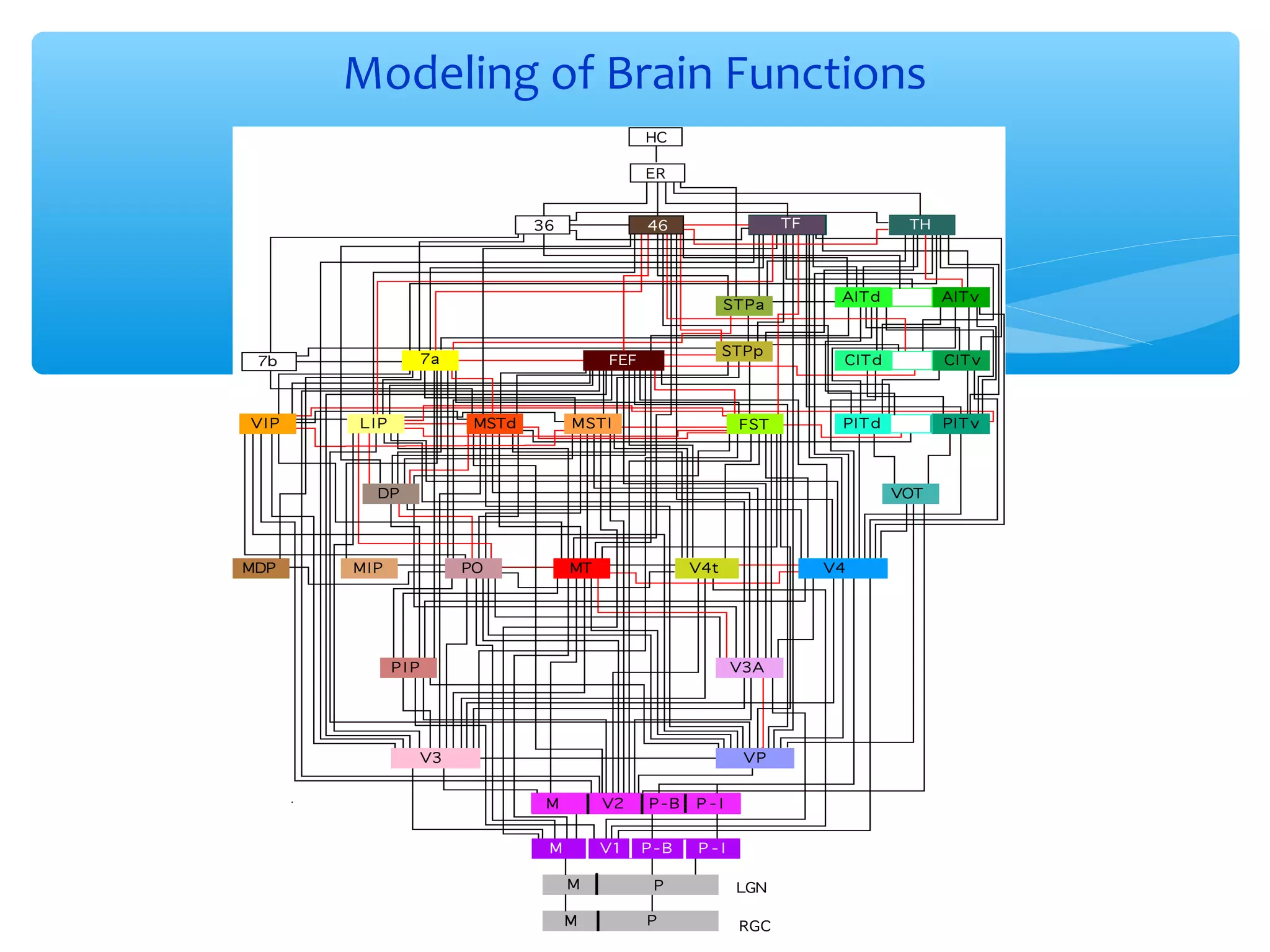 Modeling of Brain Functions

13

 