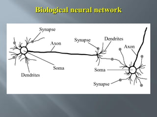 Biological neural network
Synapse
Axon

Soma
Dendrites

Synapse

Dendrites
Axon

Soma
Synapse

 