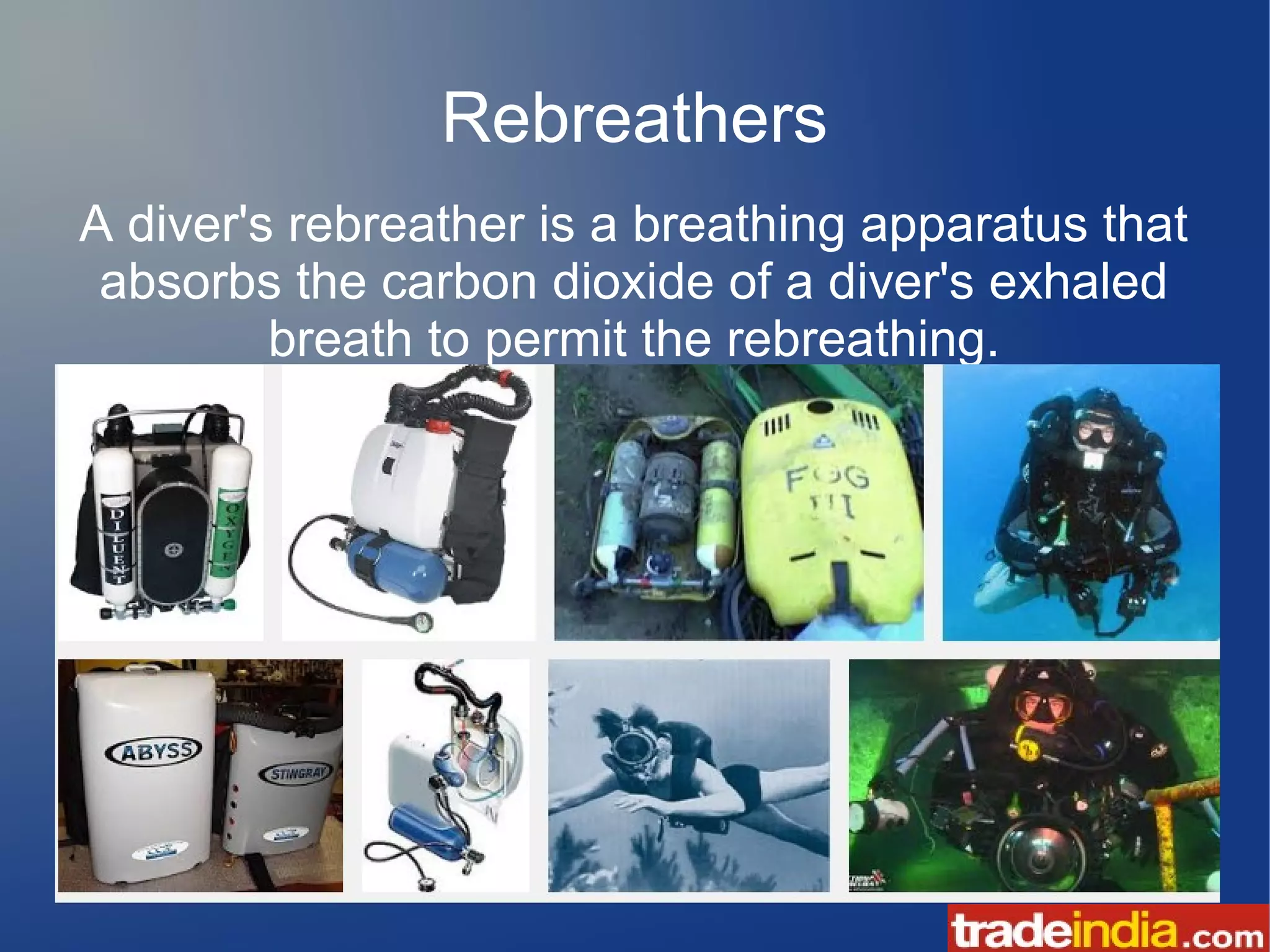 Scuba Diving Equipment List | PDF