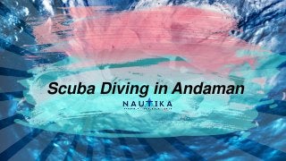 Scuba Diving in Andaman
 