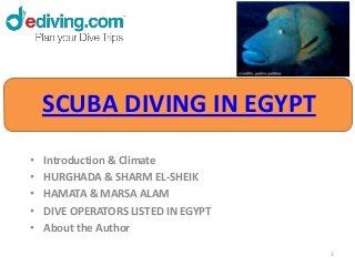 SCUBA DIVING IN EGYPT
•   Introduction & Climate
•   HURGHADA & SHARM EL-SHEIK
•   HAMATA & MARSA ALAM
•   DIVE OPERATORS LISTED IN EGYPT
•   About the Author

                                     1
 