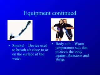 Equipment continued Snorkel – Device used to breath air close to or on the surface of the water Body suit – Warm temperature suit that protects the body against abrasions and stings 