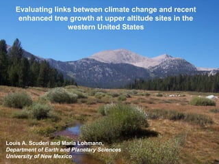 Evaluating links between climate change and recent
    enhanced tree growth at upper altitude sites in the
                  western United States




Louis A. Scuderi and Maria Lohmann,
Department of Earth and Planetary Sciences
University of New Mexico
 