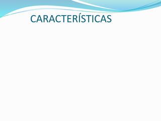 CARACTERÍSTICAS
 