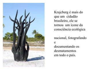 Krajcberg é mais do
que um cidadão
brasileiro, ele se
tornou um ícone da
consciência ecológica

nacional, fotografando
e
documentando os
desmatamentos
em todo o país.
 