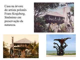 Casa na árvore
do artista polonês
Frans Krajcberg.
Sinônimo em
preservação da
natureza.
 