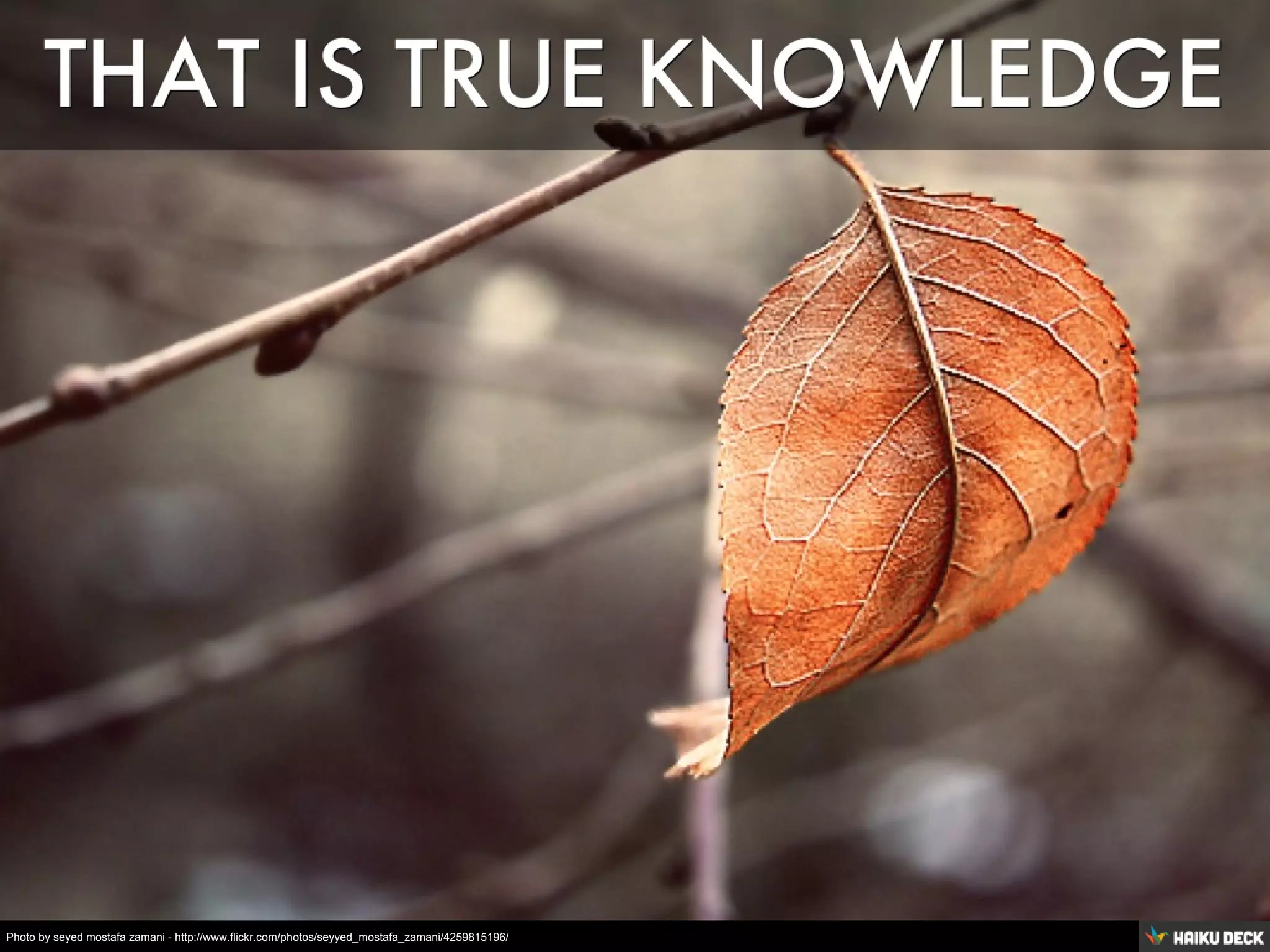 Photo by seyed mostafa zamani - http://www.flickr.com/photos/seyyed_mostafa_zamani/4259815196/
 