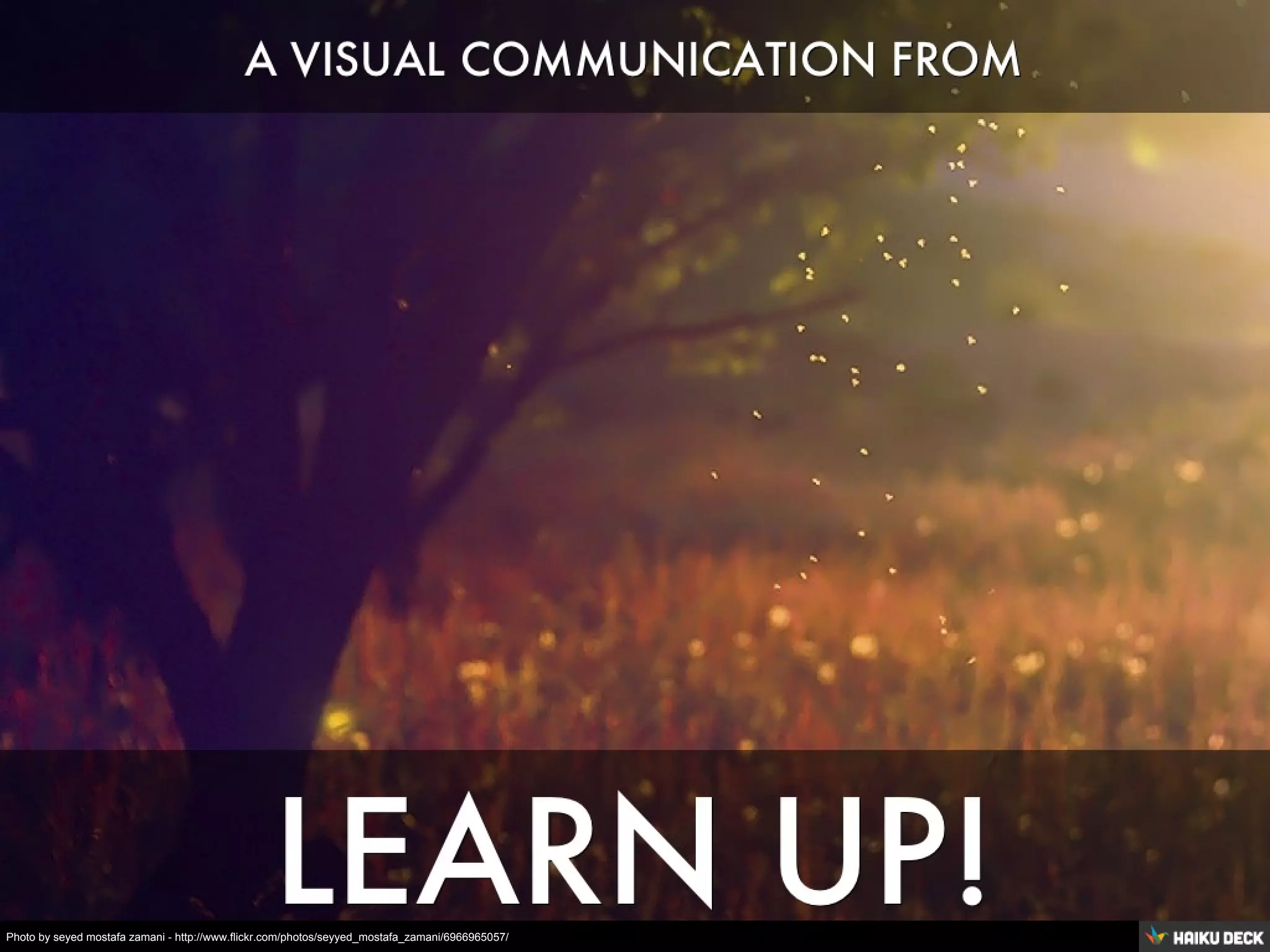 Photo by seyed mostafa zamani - http://www.flickr.com/photos/seyyed_mostafa_zamani/6966965057/
 