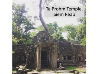 Ta Prohm Temple,
Siem Reap
 