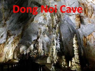 Dong Noi Cave
 