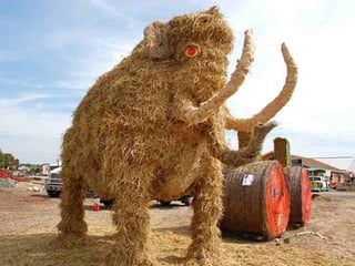 稻草雕塑藝術 Sculptures de paille