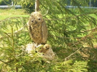 Sculptures de paille11111-1