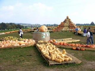 Sculptures de paille11111-1