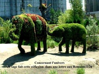 Concernant l’univers un sage fait cette réflexion  dans une lettre aux Romains 1:20 >>>>>>> 