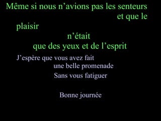 Même si nous n’avions pas les senteurs  et que le plaisir  n’était  que des yeux et de l’esprit J’espère que vous avez fait  une belle promenade Sans vous fatiguer Bonne journée 