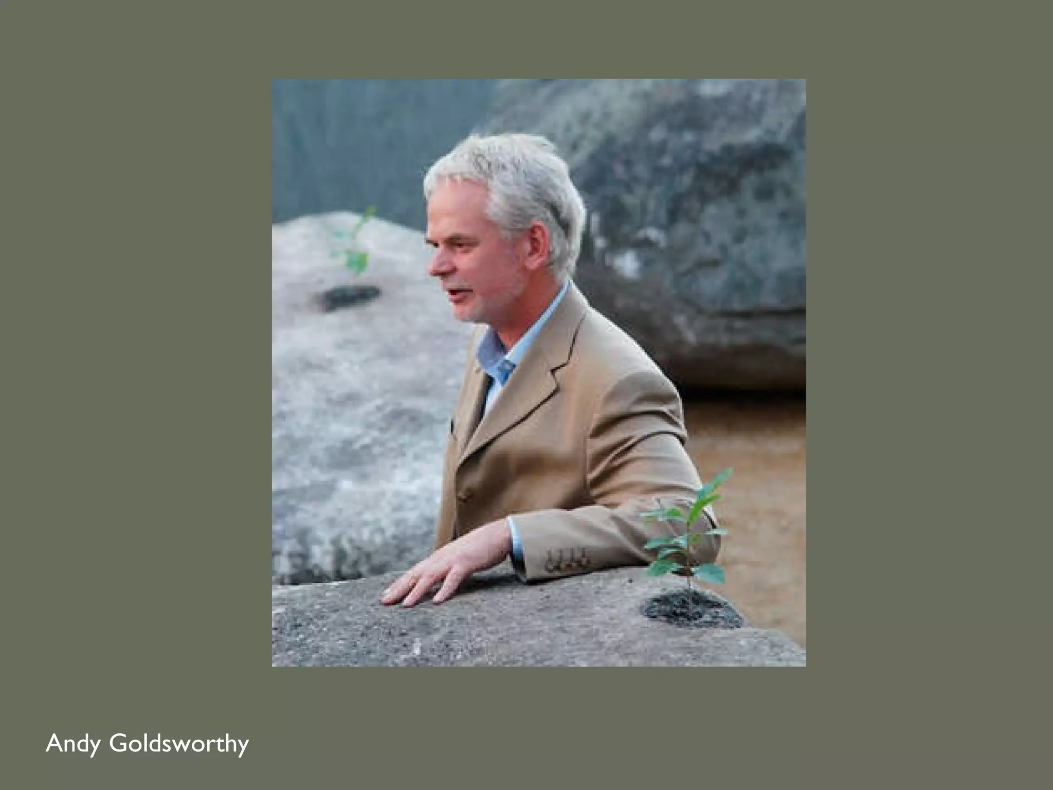 Andy Goldsworthy