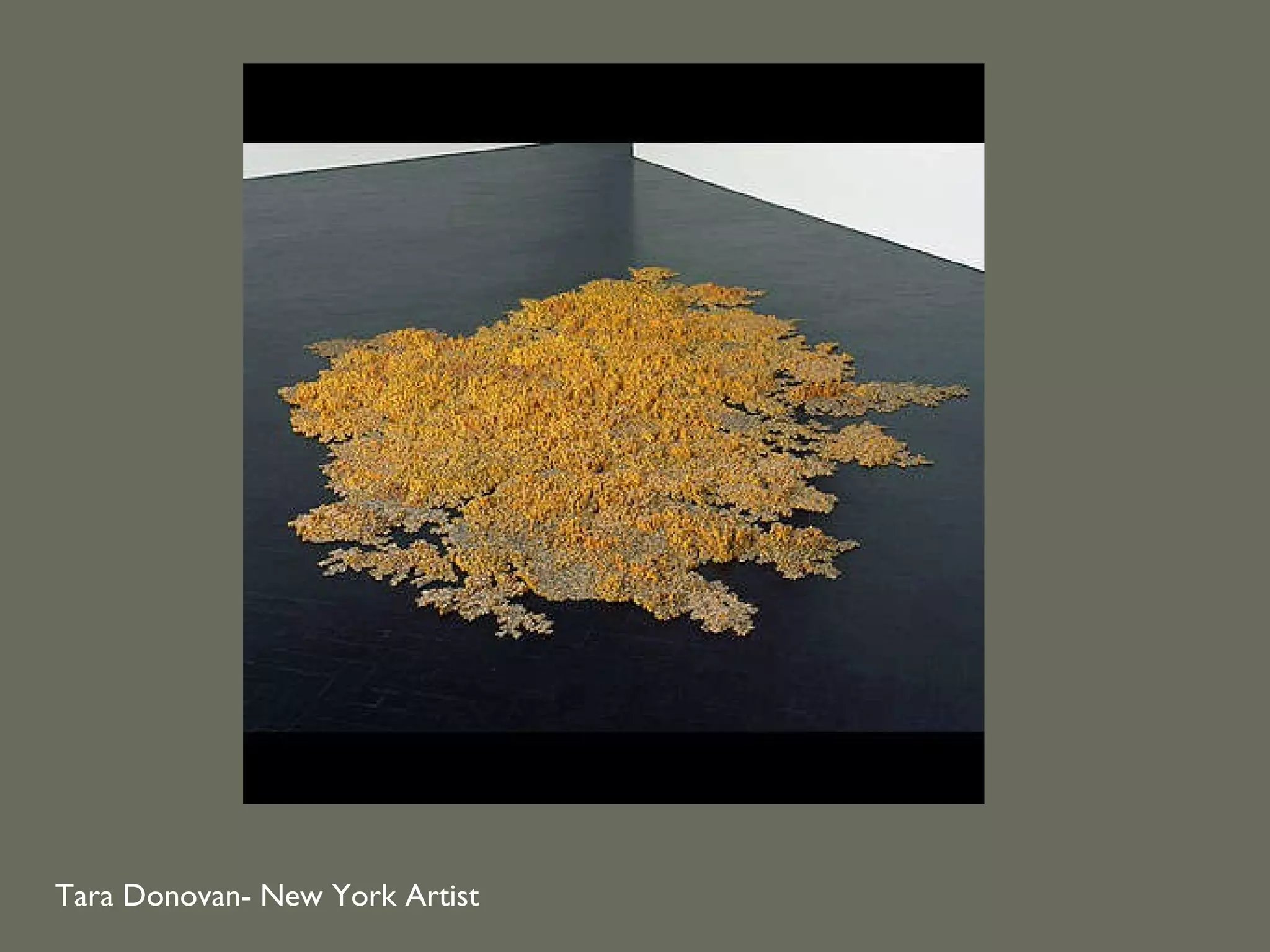 Tara Donovan- New York Artist