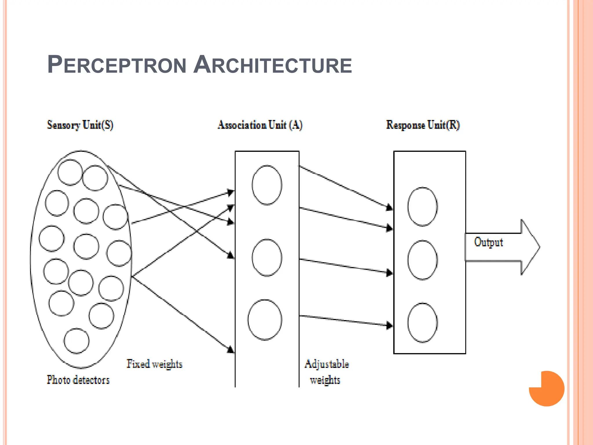 PERCEPTRON ARCHITECTURE
 