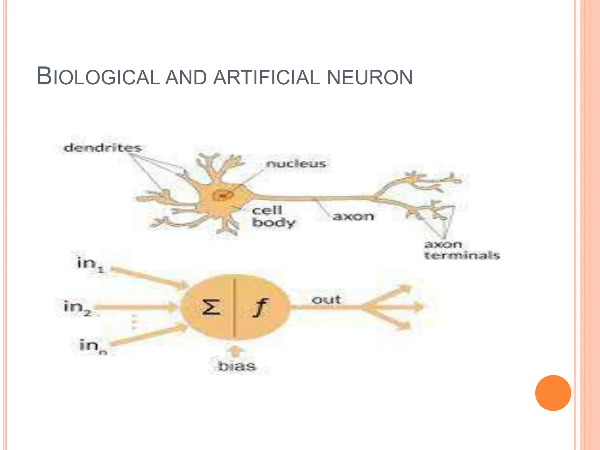 BIOLOGICAL AND ARTIFICIAL NEURON
 