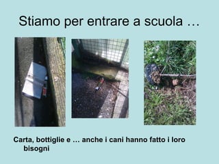 Stiamo per entrare a scuola …
Carta, bottiglie e … anche i cani hanno fatto i loro
bisogni
 