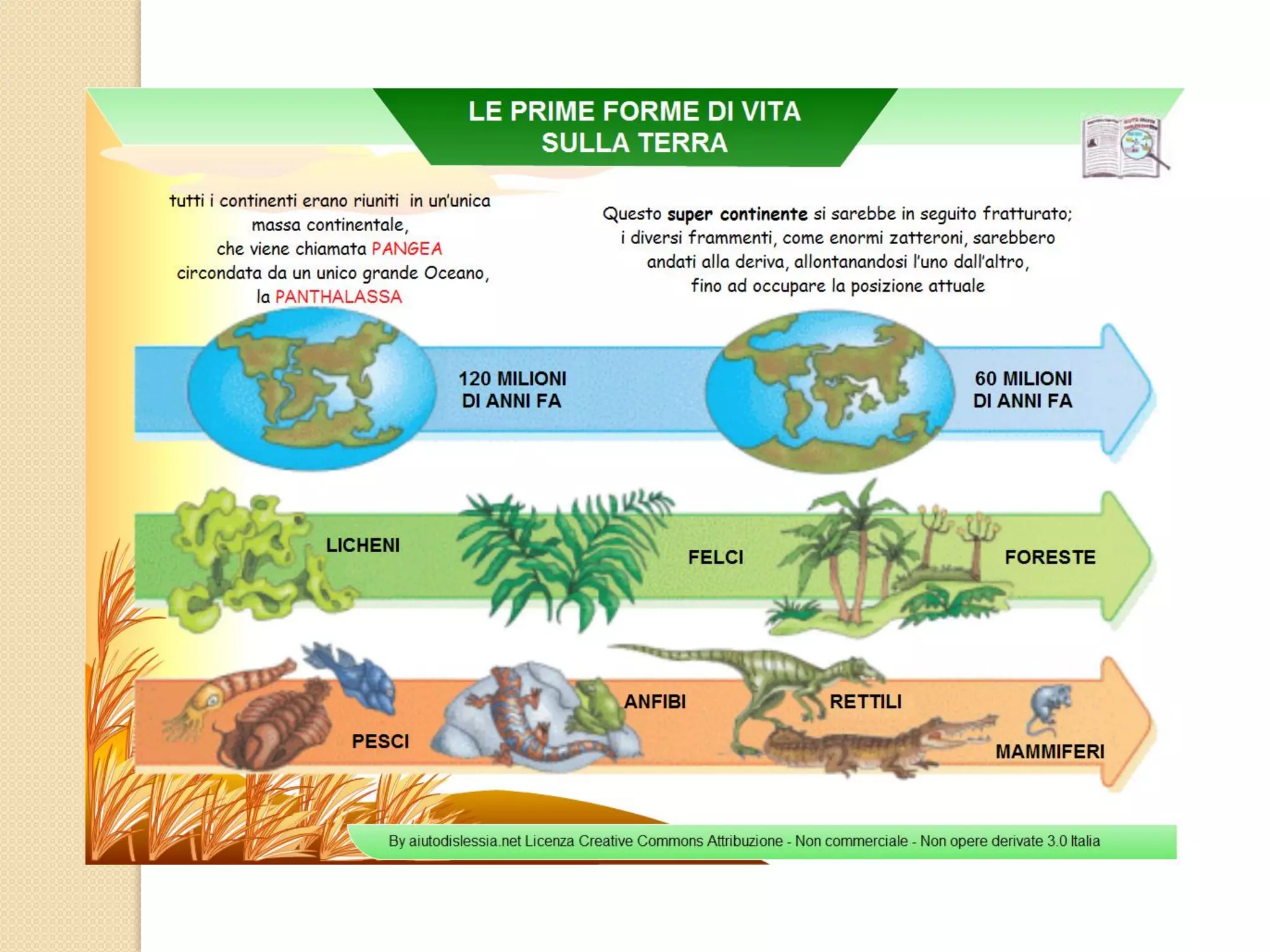 Mappe concettuali di storia dalla classe terza alla classe quinta | PDF