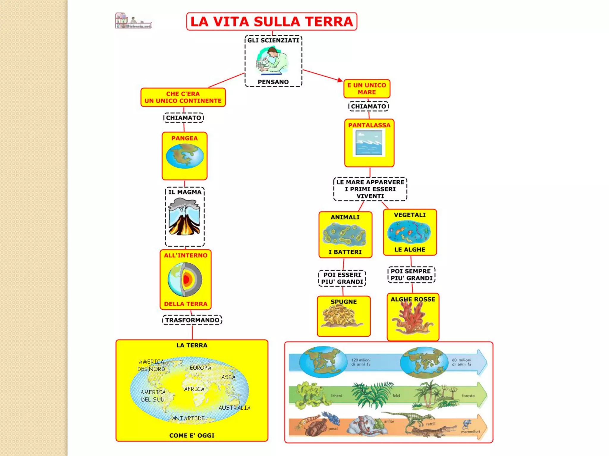 Mappe concettuali di storia dalla classe terza alla classe quinta | PDF