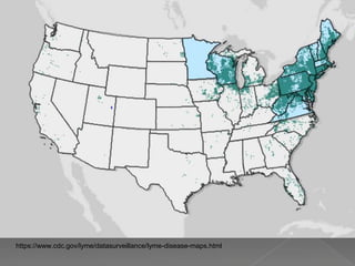 https://www.cdc.gov/lyme/datasurveillance/lyme-disease-maps.html
 