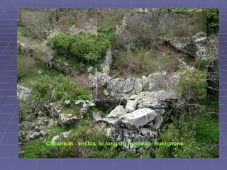 Cabane et  enclos  le long du ruisseau  Bucignone 