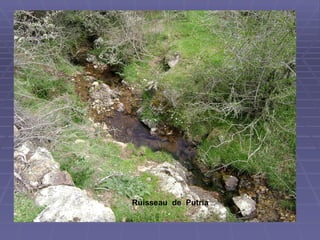 Ruisseau  de   Putria   