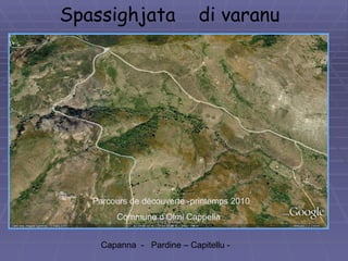Spassighjata  di varanu Capanna  -  Pardine – Capitellu -   Parcours de découverte -printemps 2010 Commune d’Olmi Cappella 