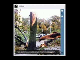 [Scup] Sandy no Instagram Slide 13