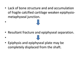 • Lack of bone structure and and accumulation
of fragile calcified cartilage weaken epiphysio-
metaphyseal junction.
•
• Resultant fracture and epiphyseal separation.
•
• Epiphysis and epiphyseal plate may be
completely displaced from the shaft.
 